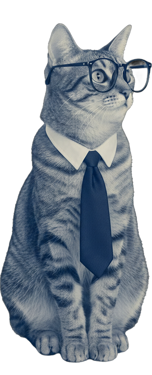 Il gatto elegante è qui per farti compagnia